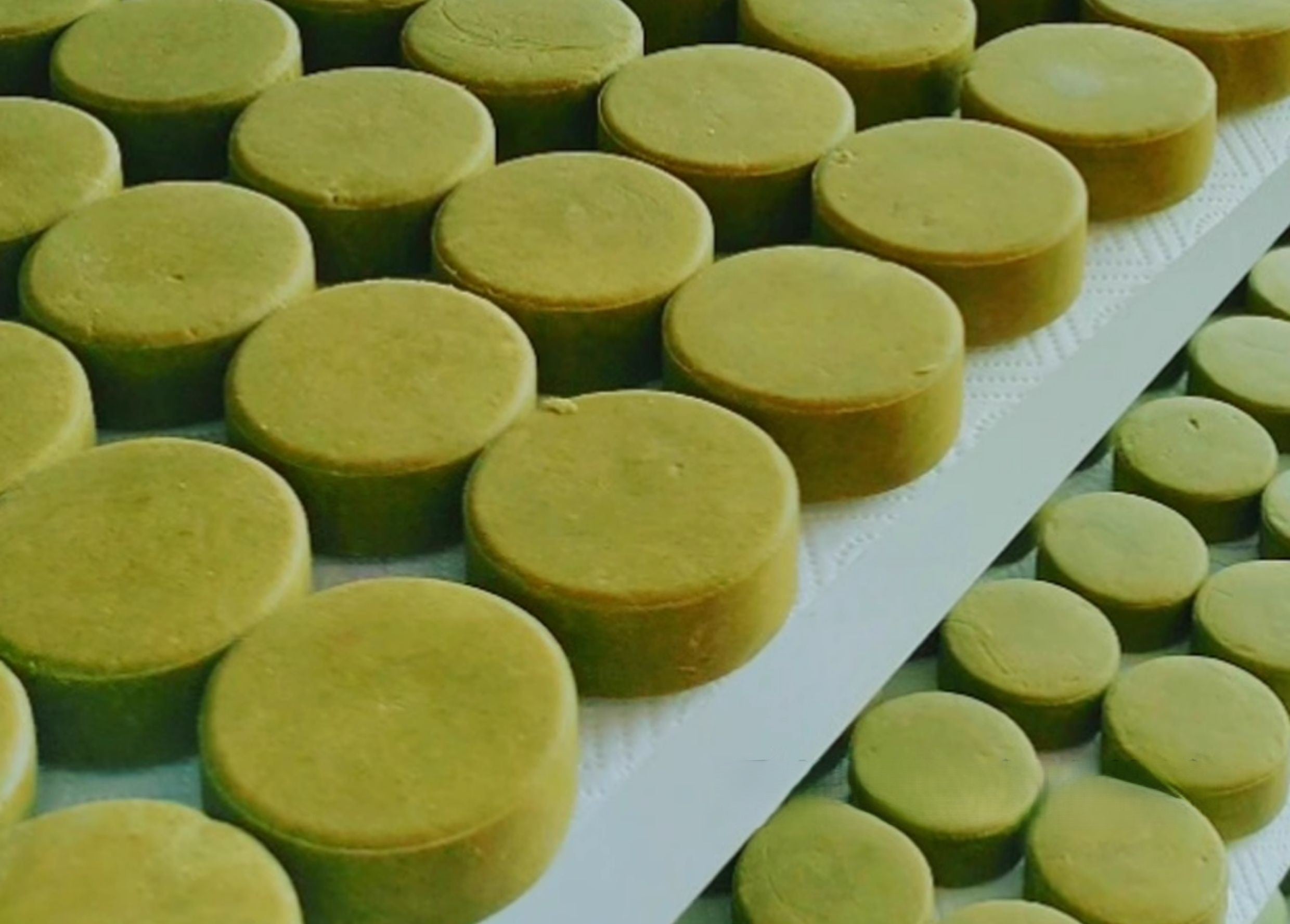 Herbal Shampoo Bar