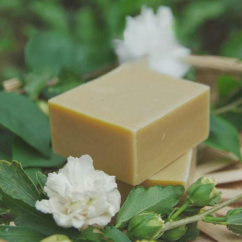 Hibiscus & Camellia Soap
