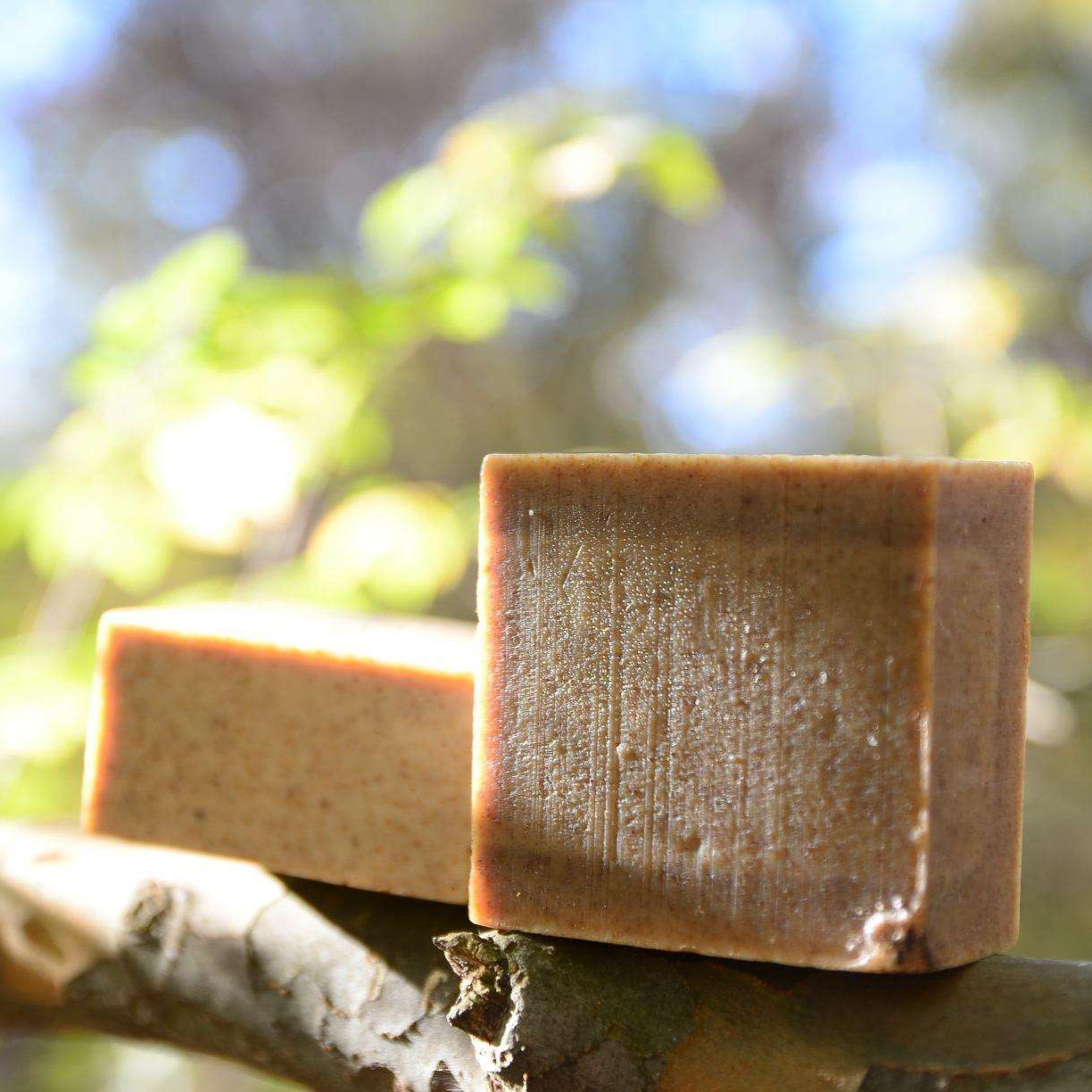 He Shou Wu & Biota Leaf Soap