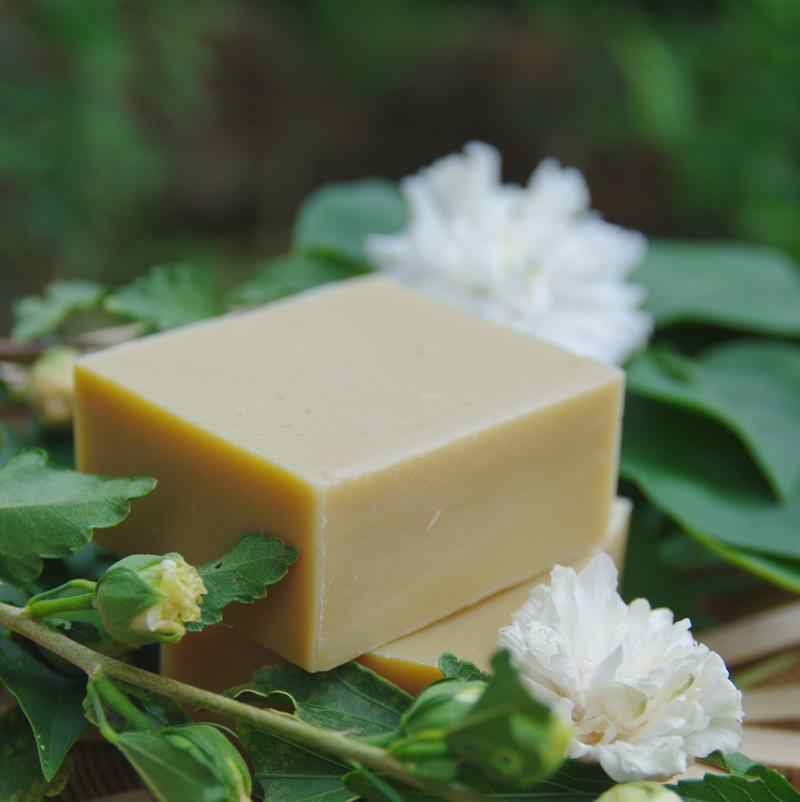 Hibiscus & Camellia Soap